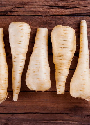 Harris Model Parsnip – 100 Seeds