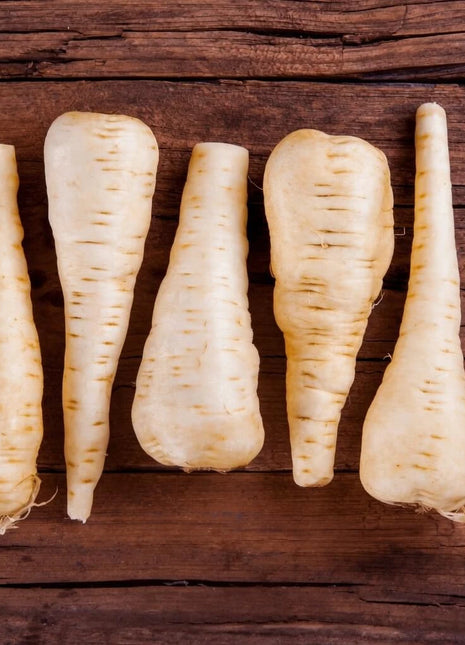 Harris Model Parsnip – 100 Seeds