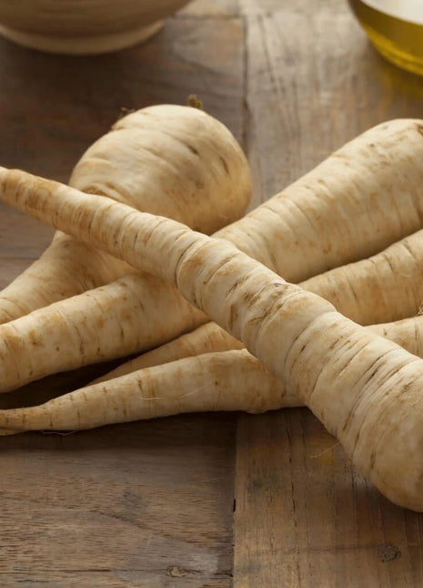 All American Parsnip – 100 Seeds