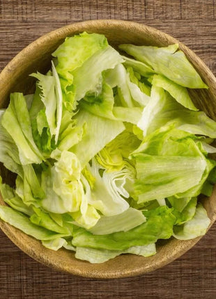 Iceberg Lettuce – 500 Seeds