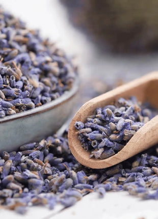 English Lavender – 100 Seeds